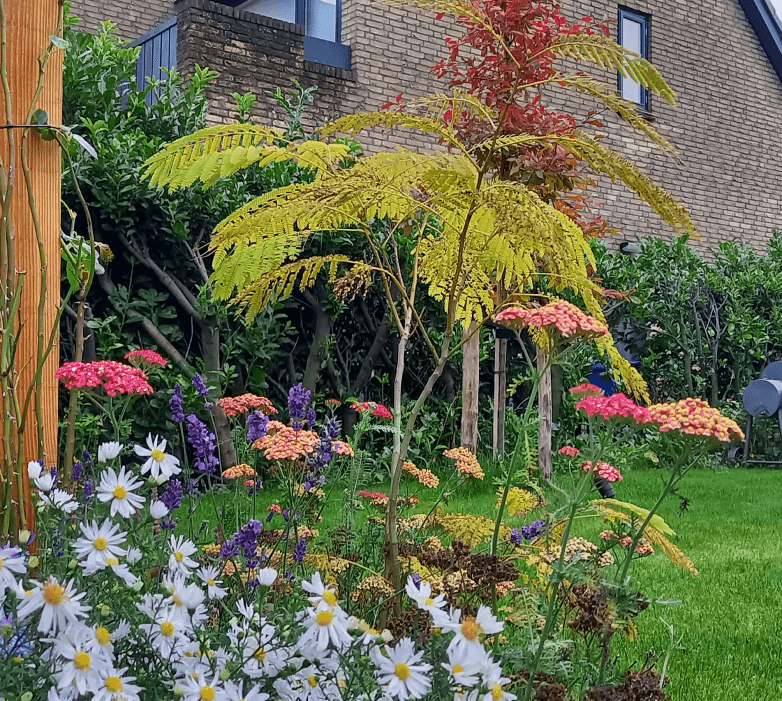 Duurzame tuin